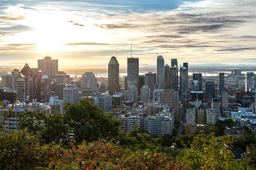 Montreal skyline early in the morning from Mont Royal park, Canada