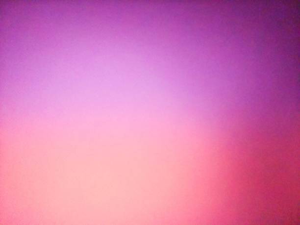 istock Purple and Pink Background image 1428360045