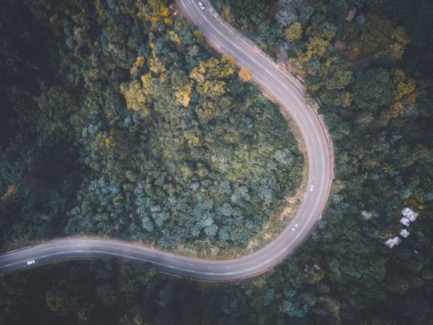 istock Top view of a road in a forest 1428361206