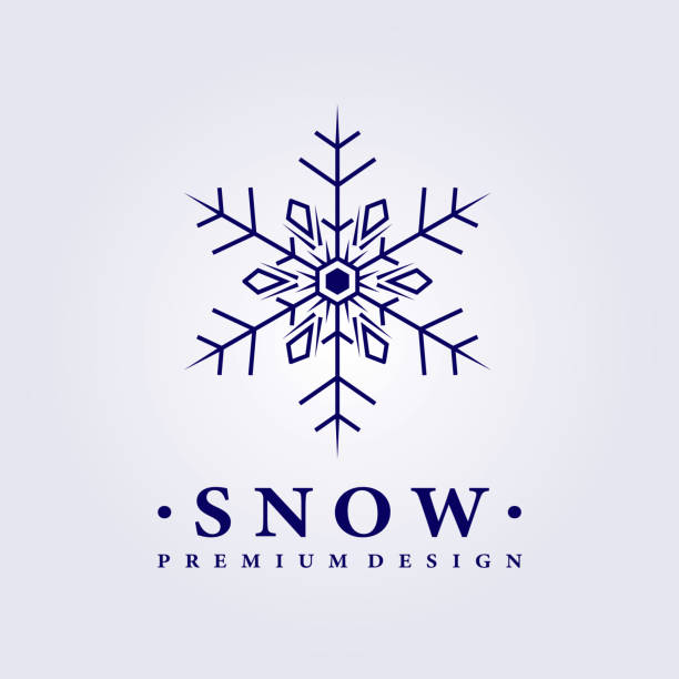 снежный логотип векторная иллюстрация дизайн линия - snowflake moray eel stock illustrations