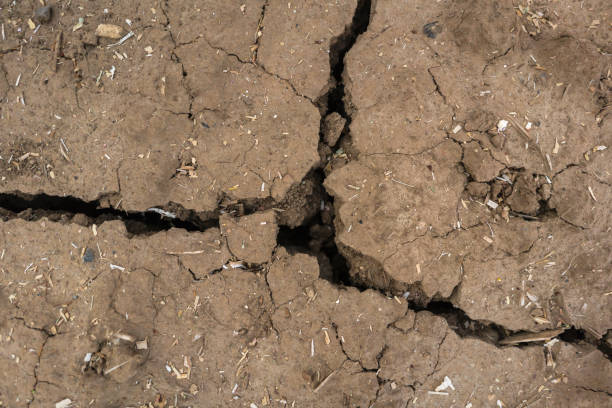 istock Broken up soil on an arable land due to a prolonged dry season 1428365025