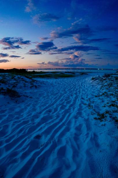 istock Vertical shot of sand dune on a beach during sunset 1428365892
