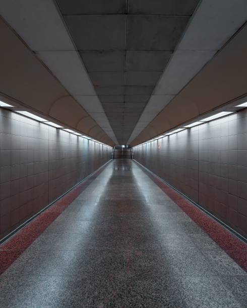 istock Vertical shot of a subway station with lights 1428367575