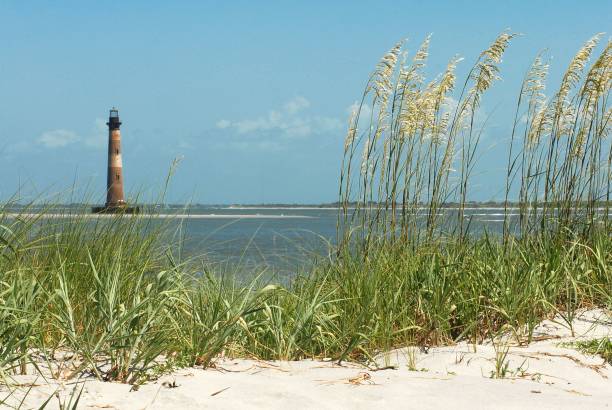 istock Old lighthouse tower at the beach with green grass 1428370214