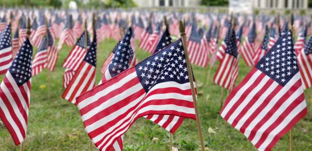 istock Park full of the USA flags 1428374541