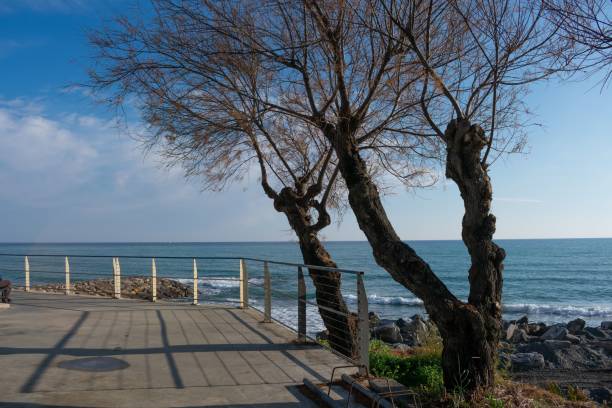 schöne aussicht auf die ligurische küste von ponente in der provinz imperia, italien - ponente stock-fotos und bilder