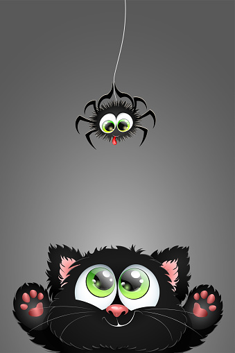 Cute fluffy Black cartoon cat playing with spider, wich teasing him