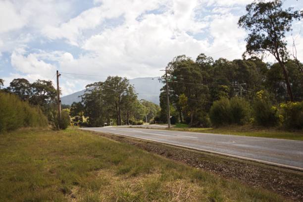 istock Road with trees on the side with a cloudy blue sky 1428379543