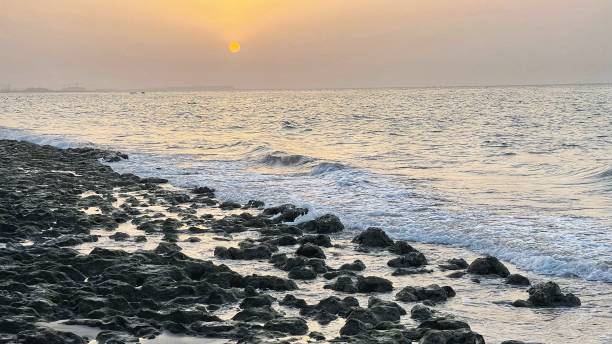 istock Ocean waves approaching a rocky beach with grey sand captured at sunset 1428380414