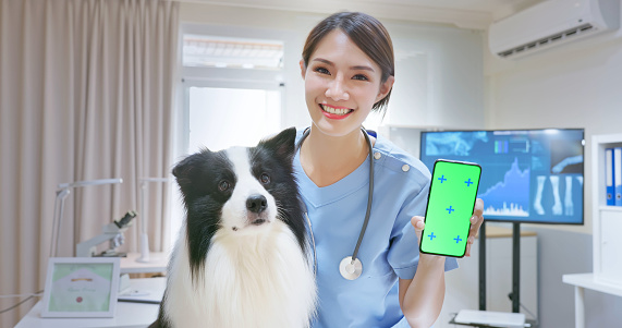 portrait of asian woman veterinarian holding green screen smartphone happily and the dog is beside her