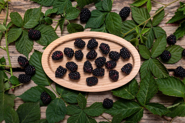 istock Blackberries on a old wooden table 1428382847