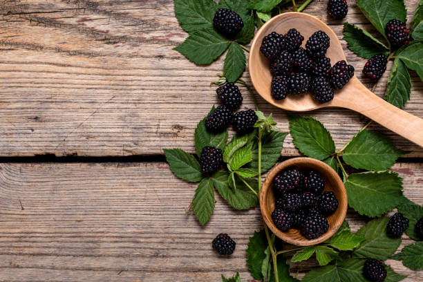 istock Blackberries on a old wooden table 1428382955