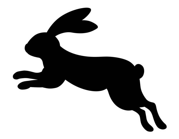 ilustraciones, imágenes clip art, dibujos animados e iconos de stock de conejo saltador negro silueta material - lagomorfos