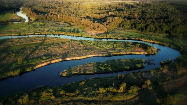 istock Beautiful river Warta in Poland at sunset, forest scenery. Drone shot, birds view 1428387745