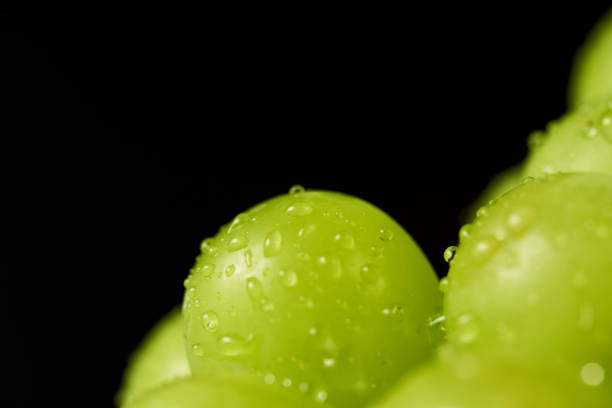 shine muscat fruits on black background