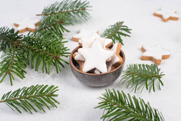 stelle alla cannella, dolci natalizi tradizionali tedeschi, pan di zenzero ricoperto di zucchero bianco, stagione invernale - zimtstern foto e immagini stock