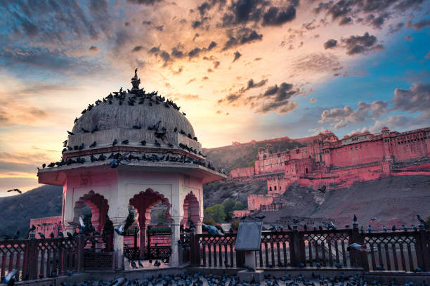 istock Pigeon Feeding in Jaipur 1428394557