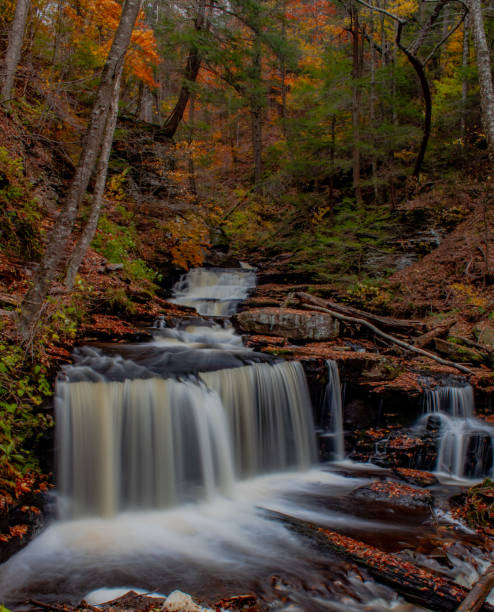 istock Autumn at Ricketts Glen State Park 1428395875