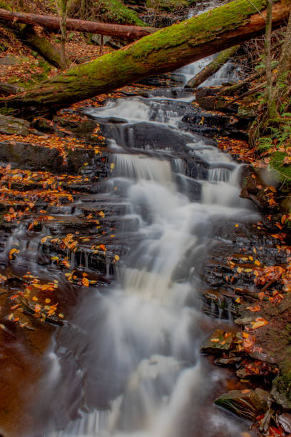 istock Autumn at Ricketts Glen State Park 1428396038