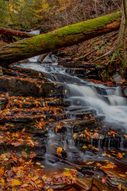 istock Autumn at Ricketts Glen State Park 1428396090