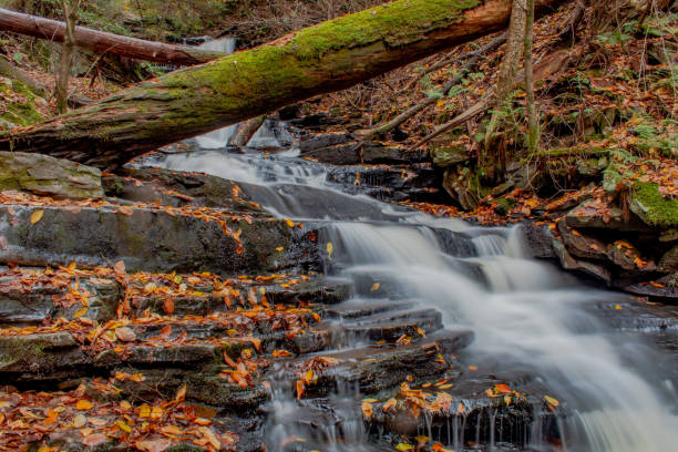 istock Autumn at Ricketts Glen State Park 1428396144