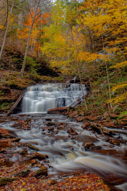 istock Autumn at Ricketts Glen State Park 1428396175
