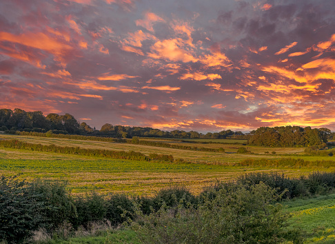 Sunset over farmland in Barrow Suffolk UK showing crops and cloud formations