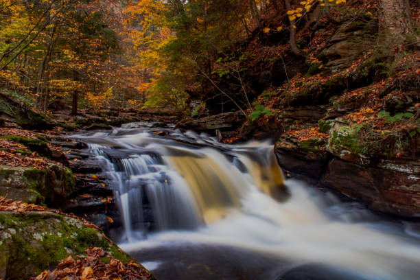 istock Autumn at Ricketts Glen State Park 1428396291