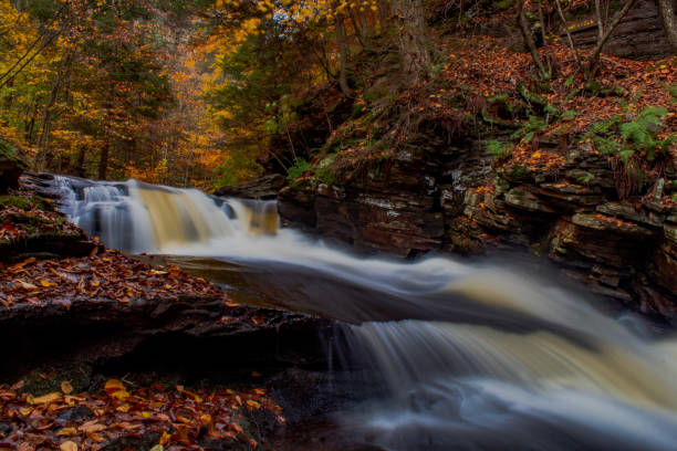 istock Autumn at Ricketts Glen State Park 1428396321