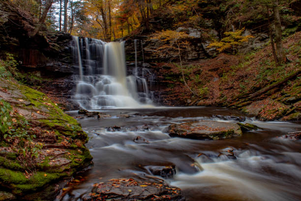 istock Autumn at Ricketts Glen State Park 1428396395