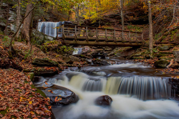istock Autumn at Ricketts Glen State Park 1428396436