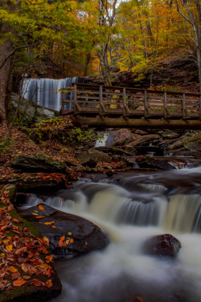 istock Autumn at Ricketts Glen State Park 1428396485