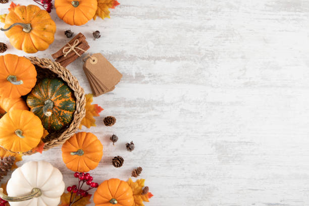 istock Thanksgiving and Autumn Backgrounds 1428400899