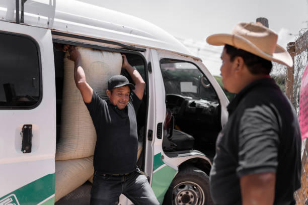 istock An Hispanic farmer is unloading a coffee sack from a van next to his supervisor 1428401790