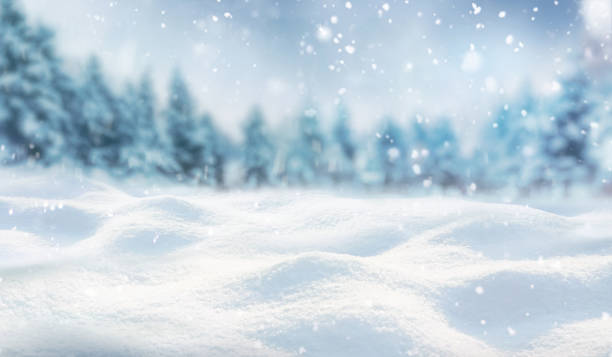 bellissimo sfondo su un tema natalizio con cumuli di neve, nevicate e uno sfondo sfocato. - snow winter forest tree foto e immagini stock