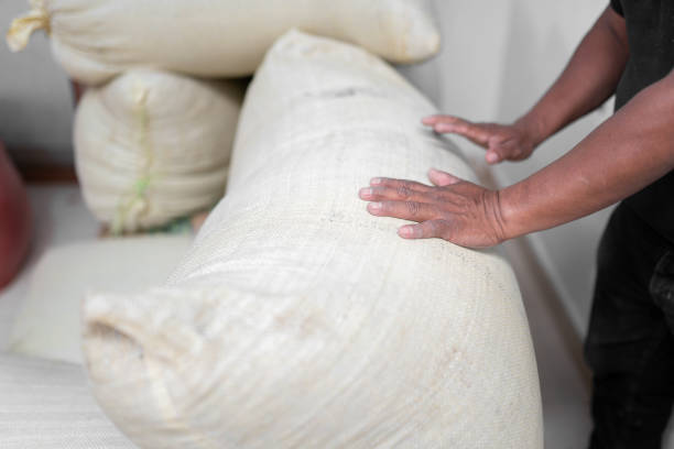 istock Hands of an Hispanic farmer stacking coffee sacks in the warehouse 1428402108