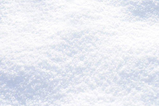 istock A simple background image of fresh, clean, fallen snow. 1428402195