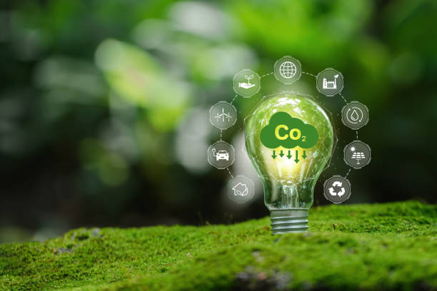 istock light bulb against nature with icons energy sources for renewable Sustainable development and business based on renewable energy. Reduce CO2 emission concept. green business based on renewable energy. 1428405081