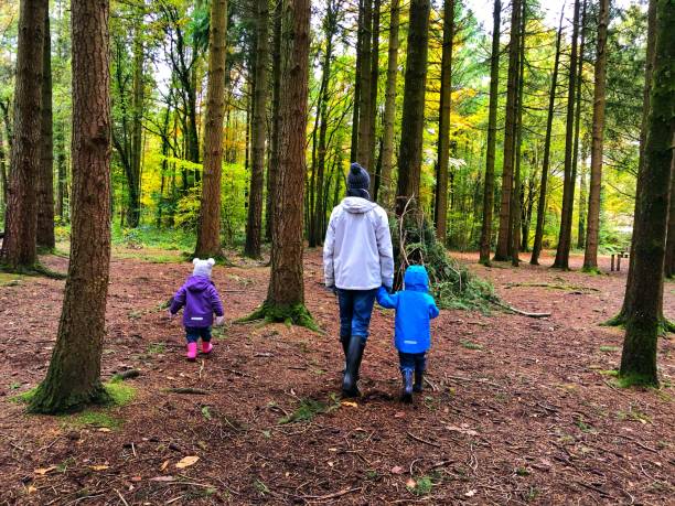 istock Man and two children walking through the woods 1428415973