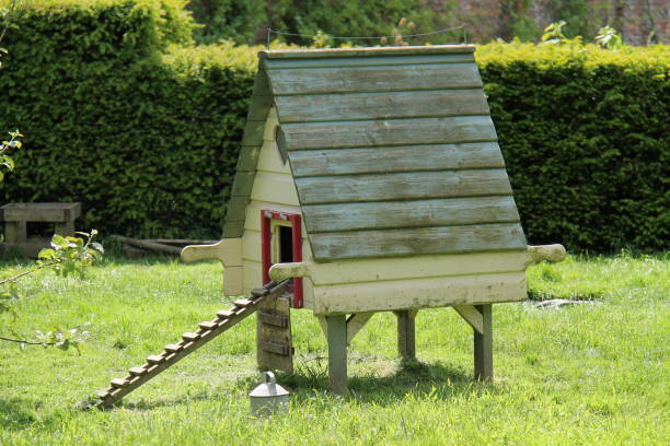 istock Wooden Hen House/ 1428418915