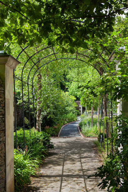 istock Welcome to the bucolic garden 1428430248