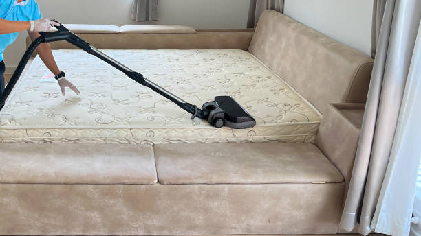 istock Professional cleaning and sanitizing services use industrial vacuum cleaner to clean and get rid of dust mites from a mattress in the bedroom. 1428432425
