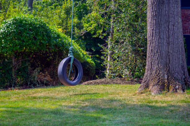 casa fez divertido preto velho balanço de pneu amarrado em um membro da árvore - tire swing - fotografias e filmes do acervo