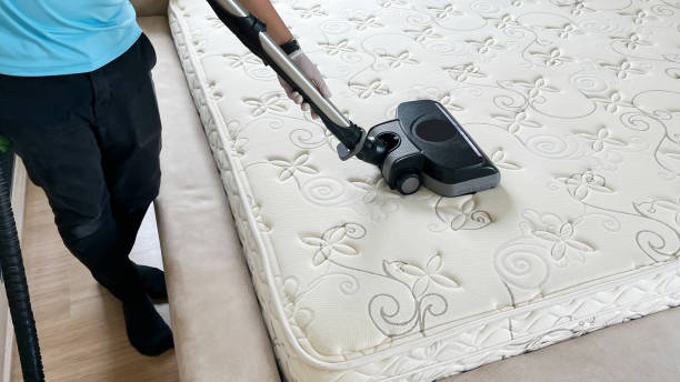 profesjonalne usługi czyszczenia i odkażania wykorzystują odkurzacz przemysłowy do czyszczenia i usuwania roztoczy z materaca w sypialni. - mattress cleaning vacuum cleaner housework zdjęcia i obrazy z banku zdjęć