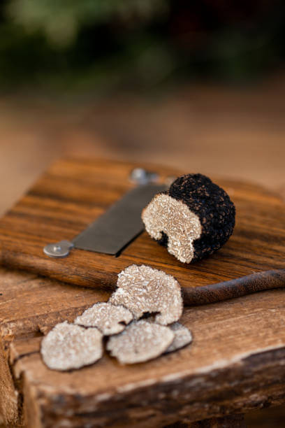 Fresh cut Black Truffle slices on truffle shaver in rustic kitchen stock photo