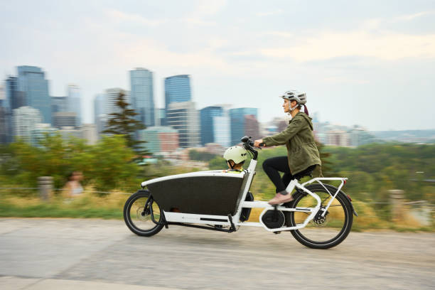Types of bicycles - cargo bike