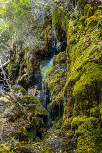 istock Source of the River Cuervo, Nacimiento del rio Cuervo, Serrania de Cuenca, Spain 1428439365