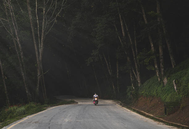 istock Man riding scooter through jungles 1428444405