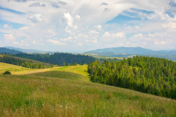 istock carpathian countryside landscape in summer 1428447190