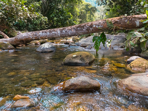 River with rocks and crystal clear water, inside rainforest, Rio de Janeiro, Brazil